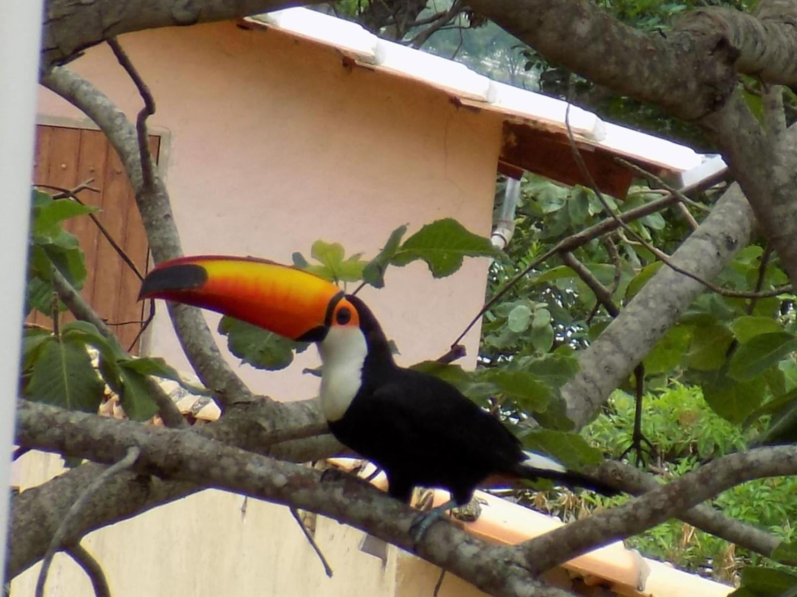 Pousada Fenix ปิเรนนอโปลิส ภายนอก รูปภาพ