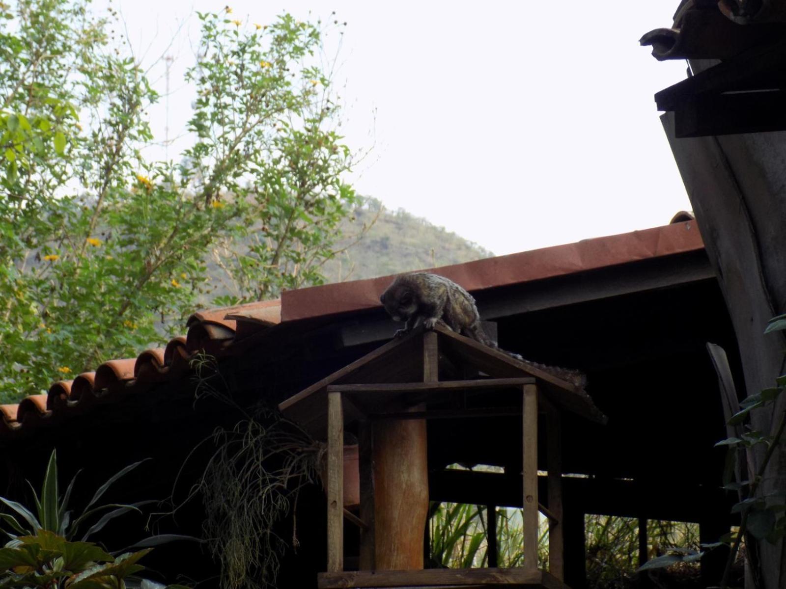 Pousada Fenix ปิเรนนอโปลิส ภายนอก รูปภาพ